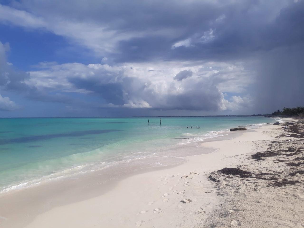 Empty Caribbean beach under storm clouds with seaweed along the tide line